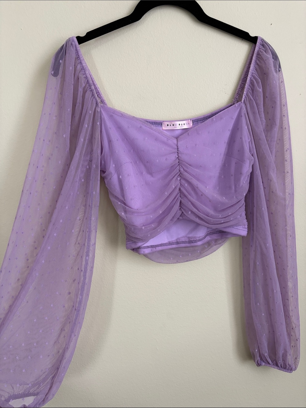 Blue Blush polka dot Lavender Mesh Ruched Long-Sleeve Crop Top